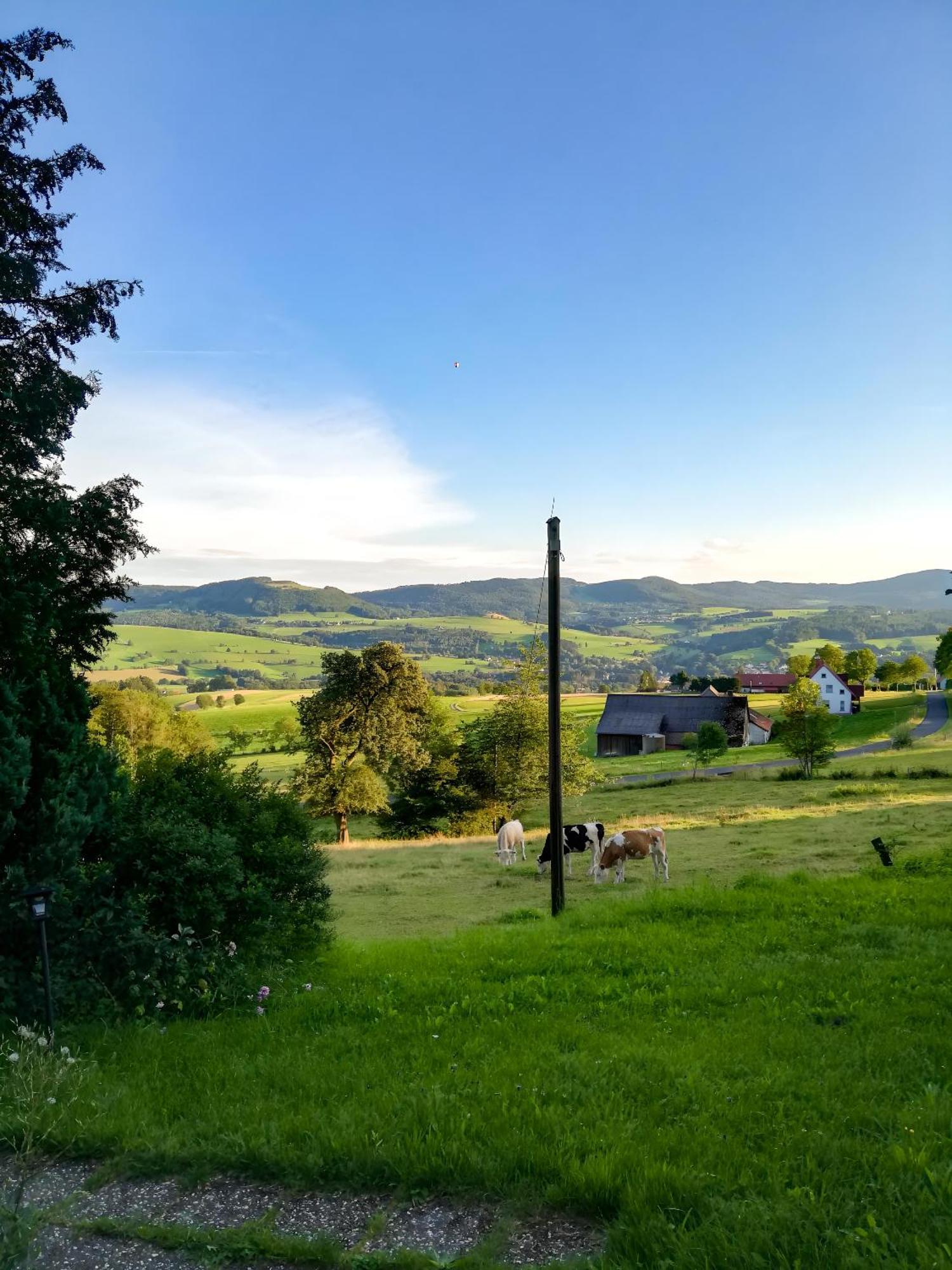 Ferienwohnung Rhoenpanorama Gersfeld Bagian luar foto
