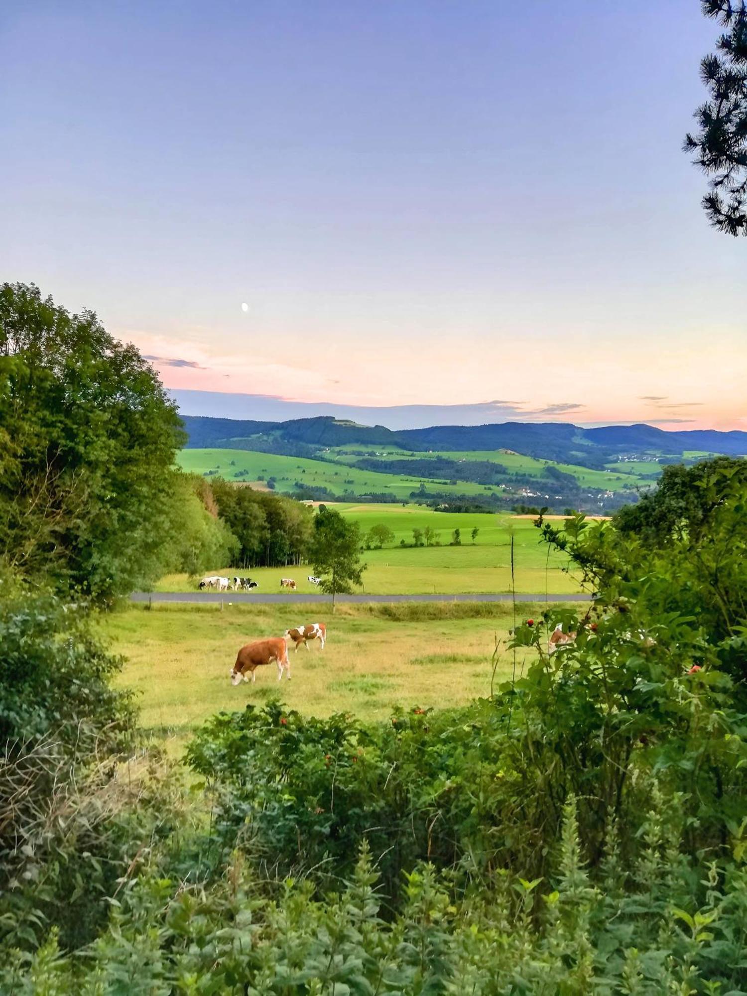 Ferienwohnung Rhoenpanorama Gersfeld Bagian luar foto